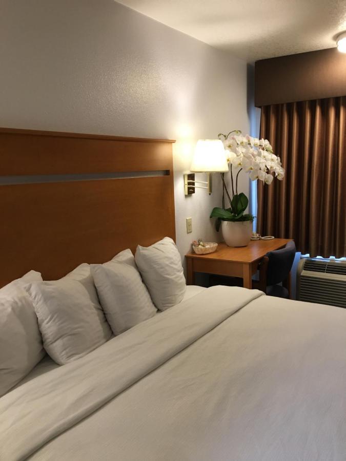 Oceanview Motel Хантингтон-Бич Экстерьер фото